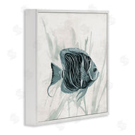 Jacob Q | Something Fishy Aquatic