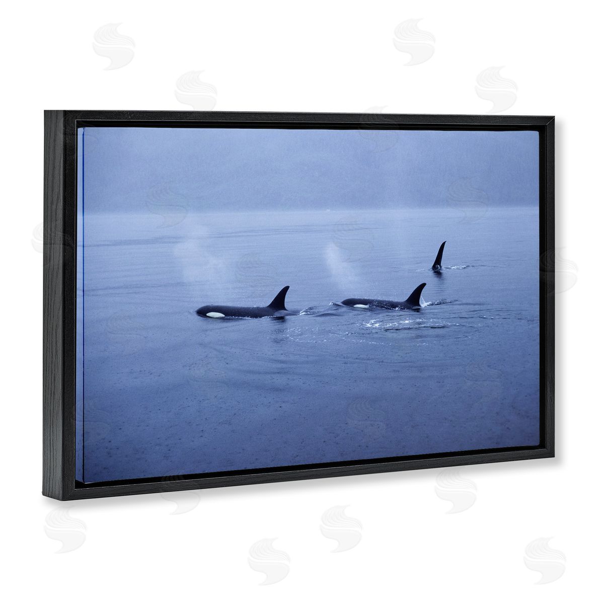 Norm Stelfox Orca Whispers Seascape Canvas Wall Art Print