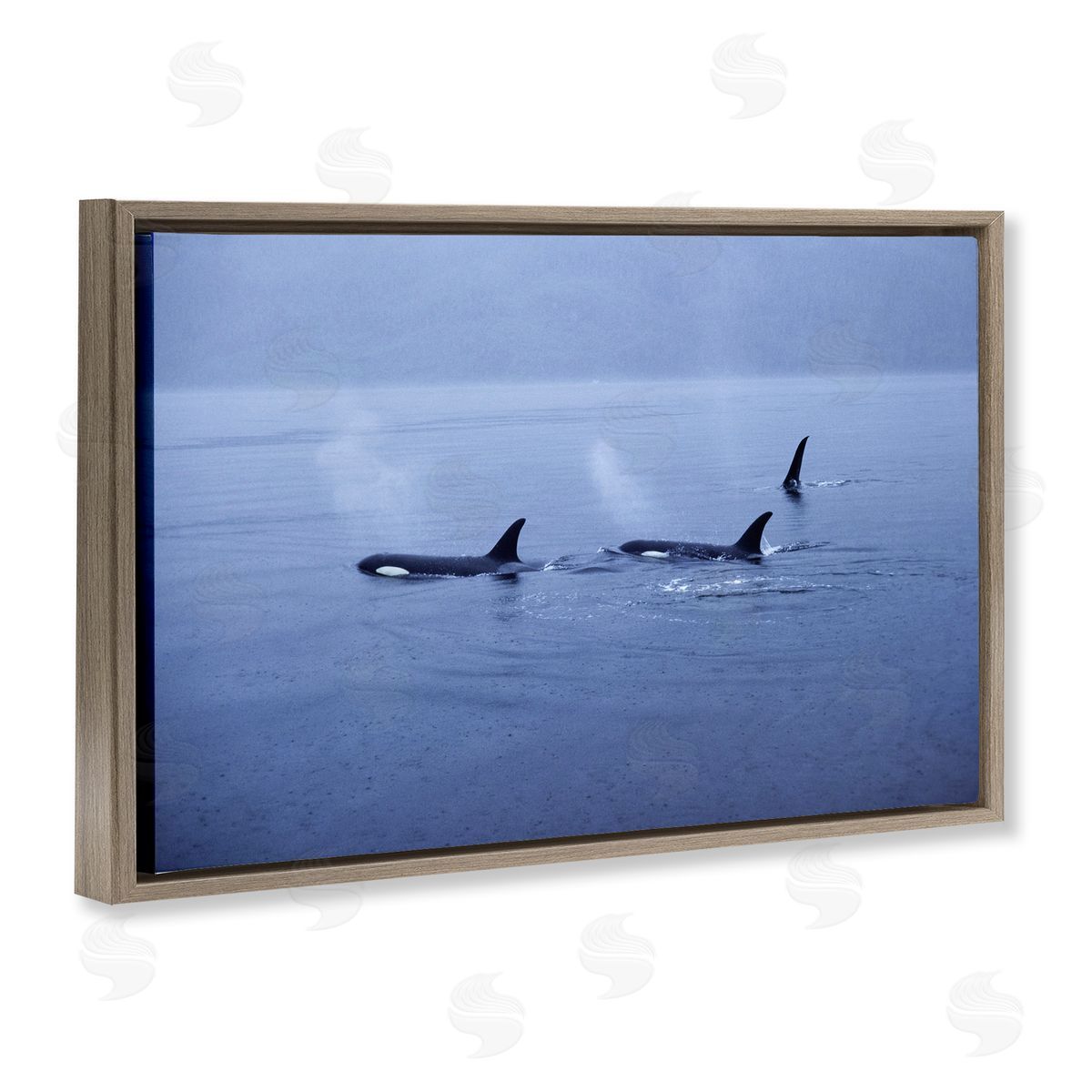 Norm Stelfox Orca Whispers Seascape Canvas Wall Art Print