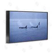 Norm Stelfox | Orca Whispers Seascape