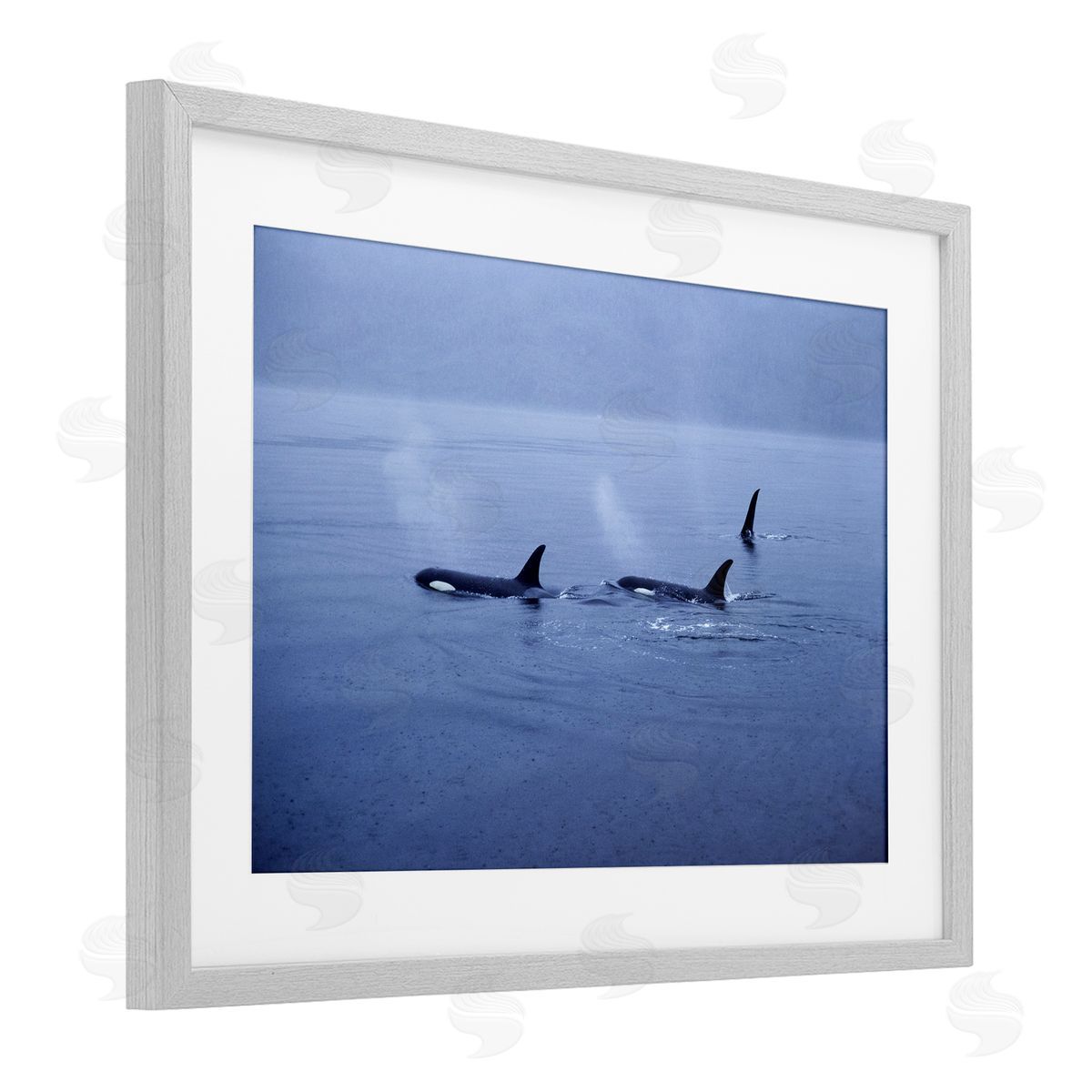 Norm Stelfox Orca Whispers Seascape Canvas Wall Art Print