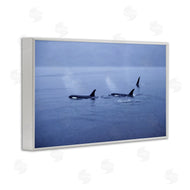 Norm Stelfox | Orca Whispers Seascape