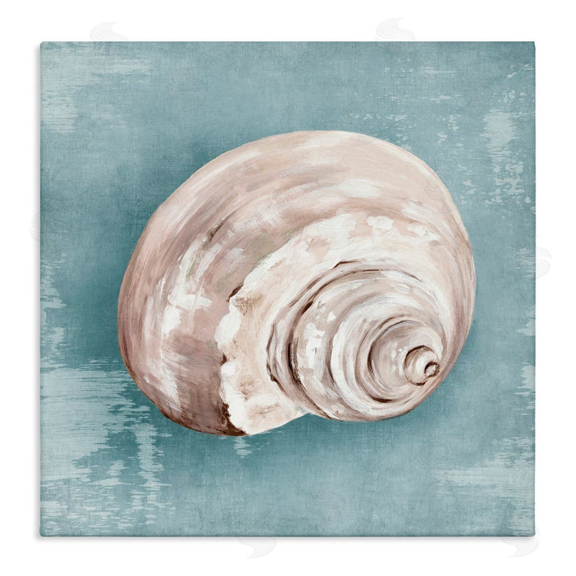 Eli Jones | Swirled Whisper Of The Shore