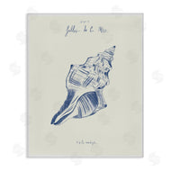 1x | Filles De La Mer Conch Shell