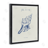 1x | Filles De La Mer Conch Shell