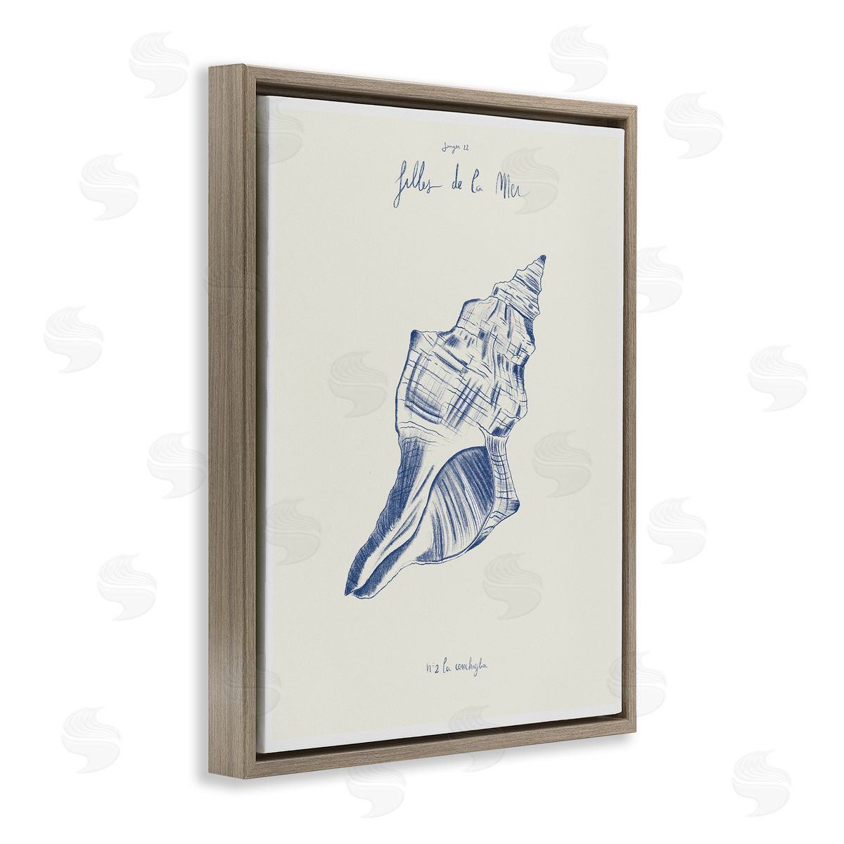 1x Filles De La Mer Conch Shell Canvas Wall Art Print