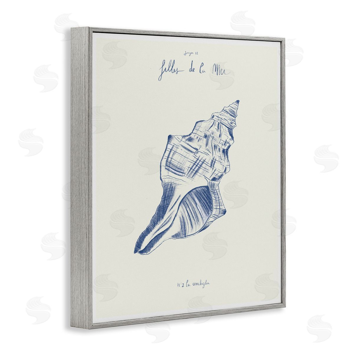 1x Filles De La Mer Conch Shell Canvas Wall Art Print