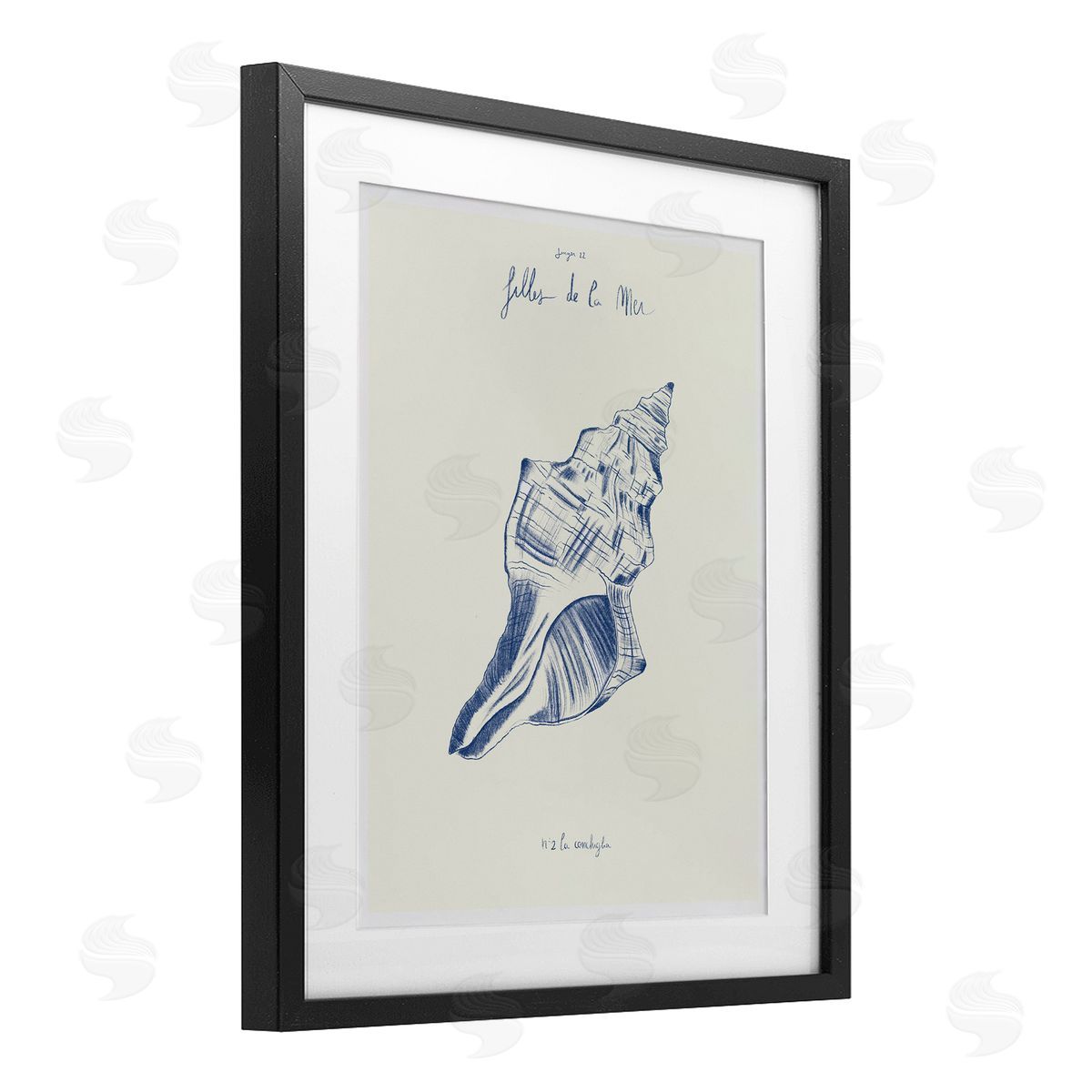 1x Filles De La Mer Conch Shell Canvas Wall Art Print