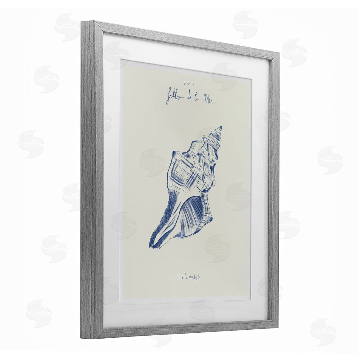 1x Filles De La Mer Conch Shell Canvas Wall Art Print