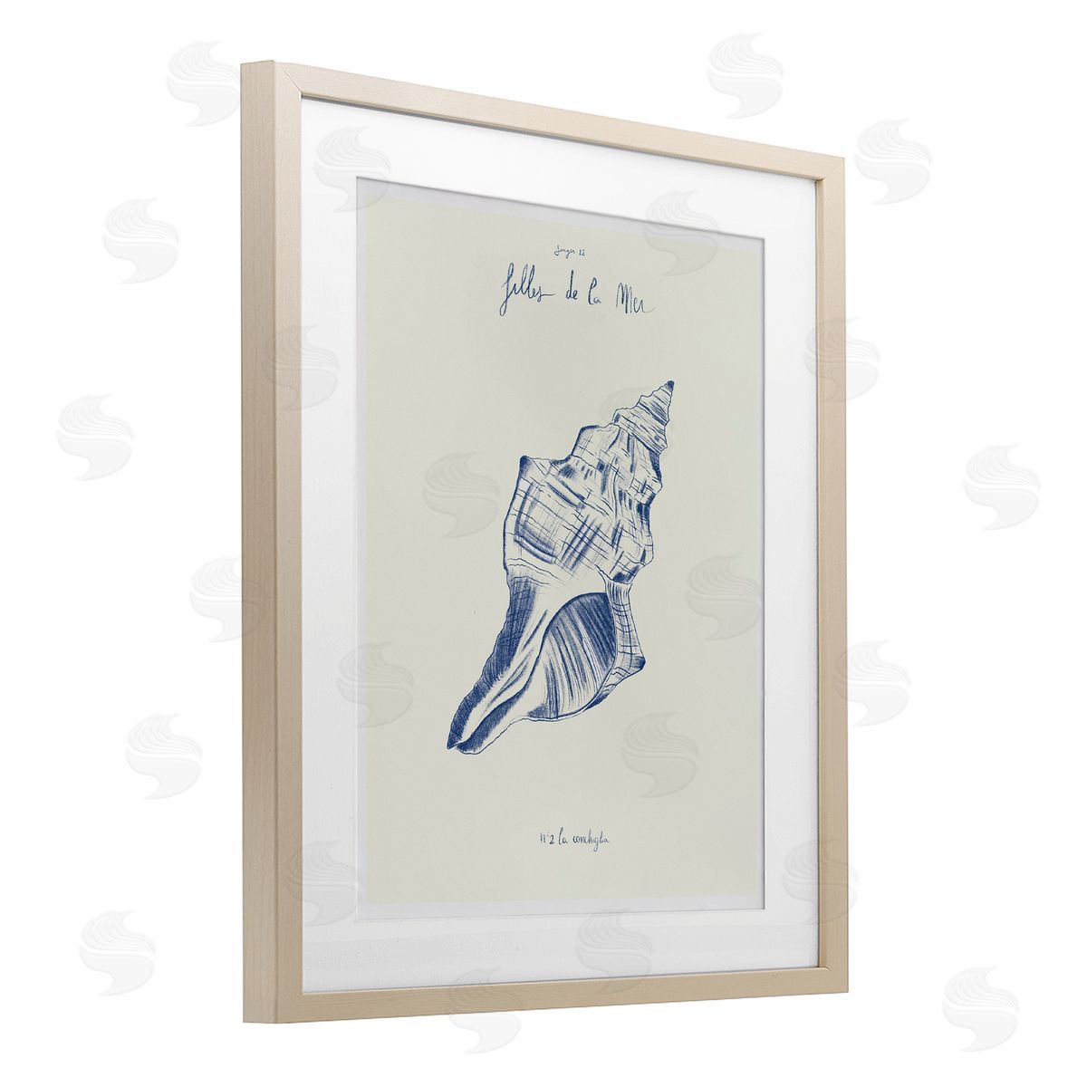1x Filles De La Mer Conch Shell Canvas Wall Art Print