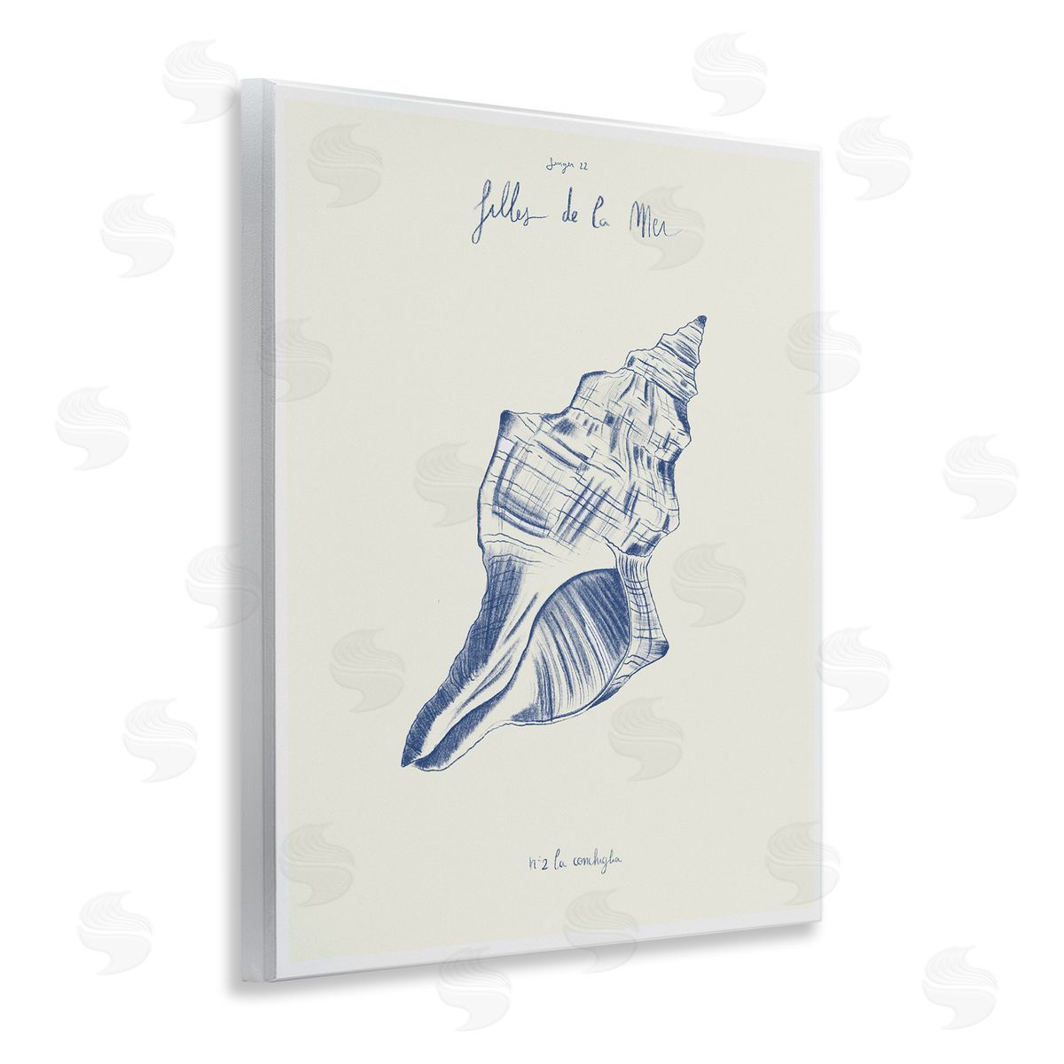1x Filles De La Mer Conch Shell Canvas Wall Art Print