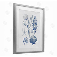 1x | Soft Nautical Collection