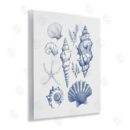 1x | Soft Nautical Collection