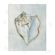 Hannah Dawson | Muted Conch Shell Serenity