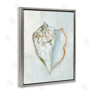 Hannah Dawson | Muted Conch Shell Serenity