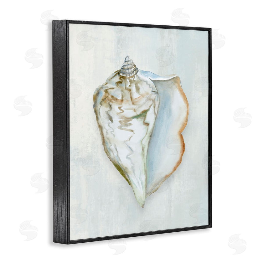 Hannah Dawson | Muted Conch Shell Serenity