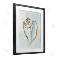 Hannah Dawson | Muted Conch Shell Serenity