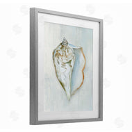 Hannah Dawson | Muted Conch Shell Serenity