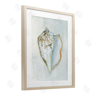 Hannah Dawson | Muted Conch Shell Serenity
