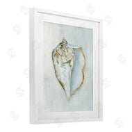 Hannah Dawson | Muted Conch Shell Serenity
