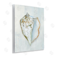 Hannah Dawson | Muted Conch Shell Serenity