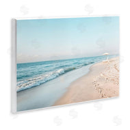 Lazar Studio | Summer Sunlit Shoreline