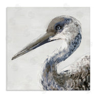 Jacob Q | Sand Crane Portrait