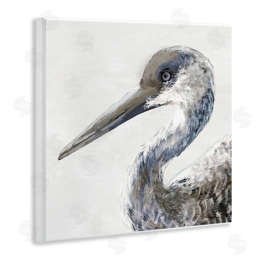 Jacob Q | Sand Crane Portrait
