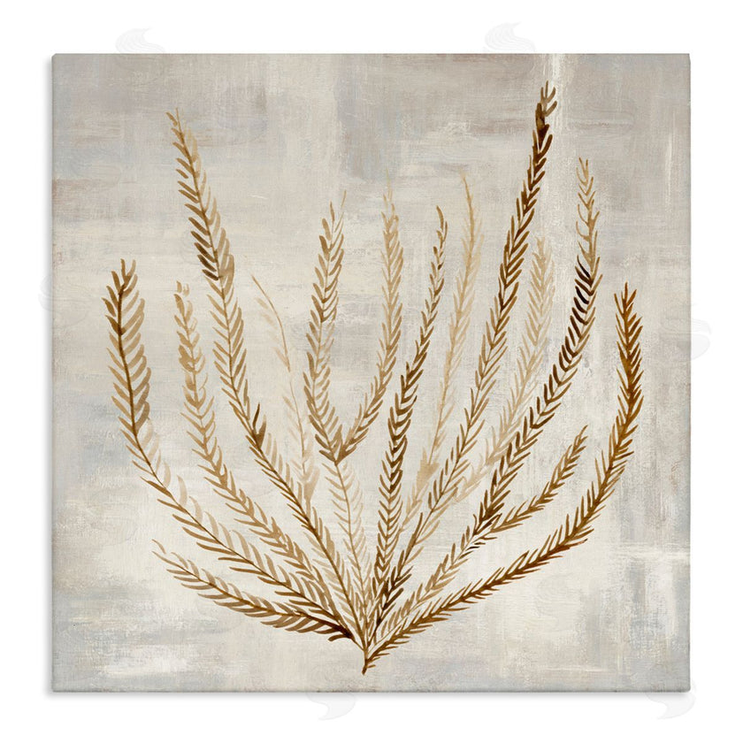 Hannah Dawson | Beige Tide Coral