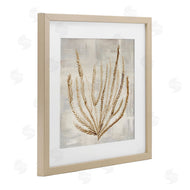 Hannah Dawson | Beige Tide Coral