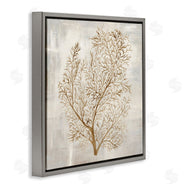 Hannah Dawson | Beige Tides Botanical