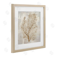 Hannah Dawson | Beige Tides Botanical