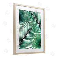 Unknown | Clean Tropics Layered Palms