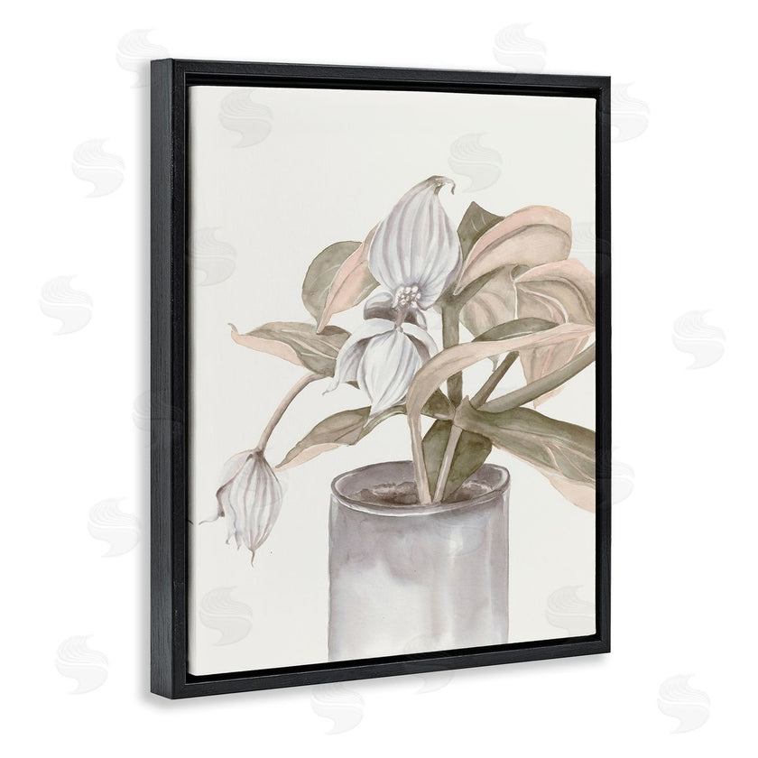 Errico & Slyp | Potted Medinilla Magnifica