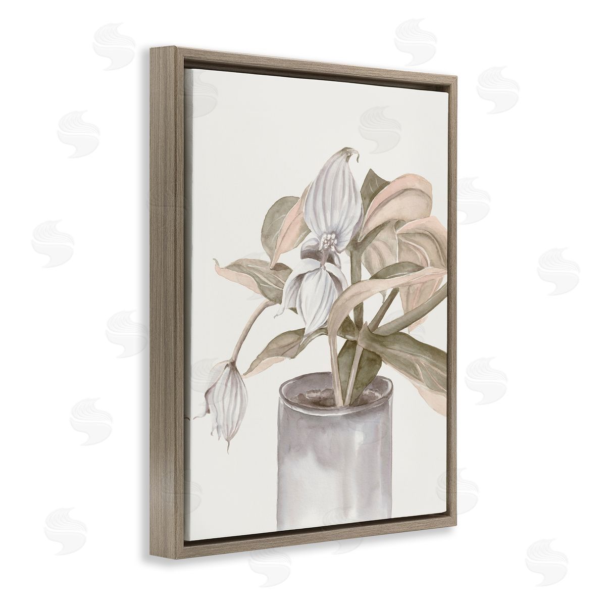 Errico & Slyp Potted Medinilla Magnifica Canvas Wall Art Print