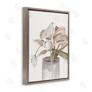 Errico & Slyp | Potted Medinilla Magnifica