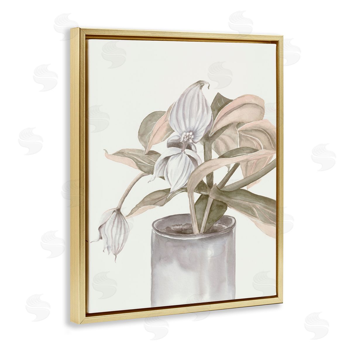 Errico & Slyp Potted Medinilla Magnifica Canvas Wall Art Print
