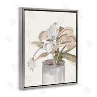 Errico & Slyp | Potted Medinilla Magnifica