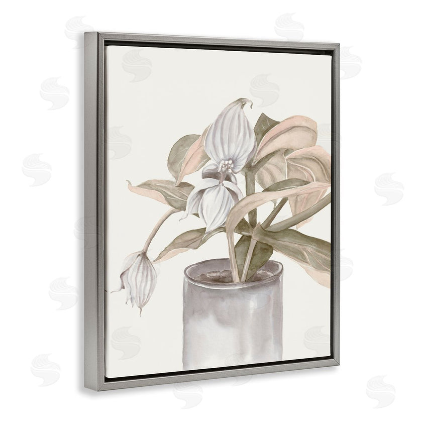 Errico & Slyp | Potted Medinilla Magnifica