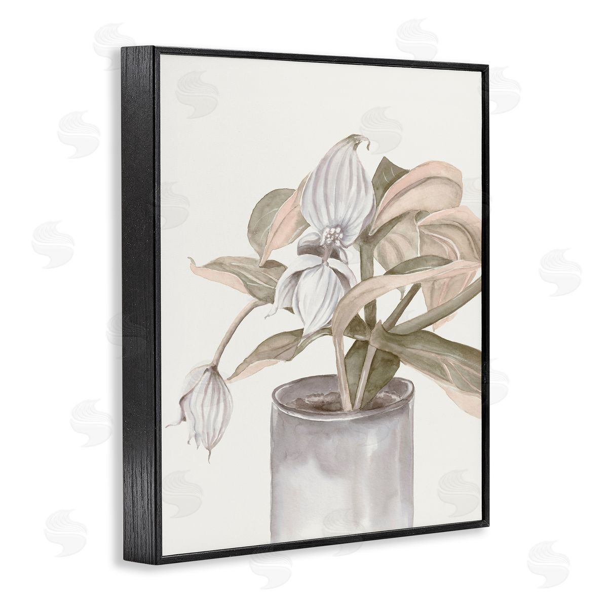 Errico & Slyp Potted Medinilla Magnifica Canvas Wall Art Print