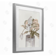 Errico & Slyp | Potted Medinilla Magnifica