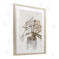 Errico & Slyp | Potted Medinilla Magnifica