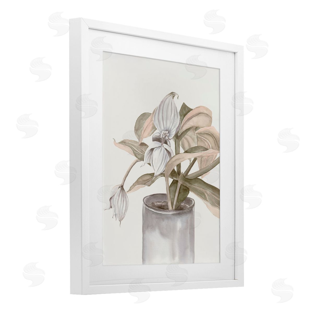 Errico & Slyp Potted Medinilla Magnifica Canvas Wall Art Print