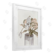 Errico & Slyp | Potted Medinilla Magnifica