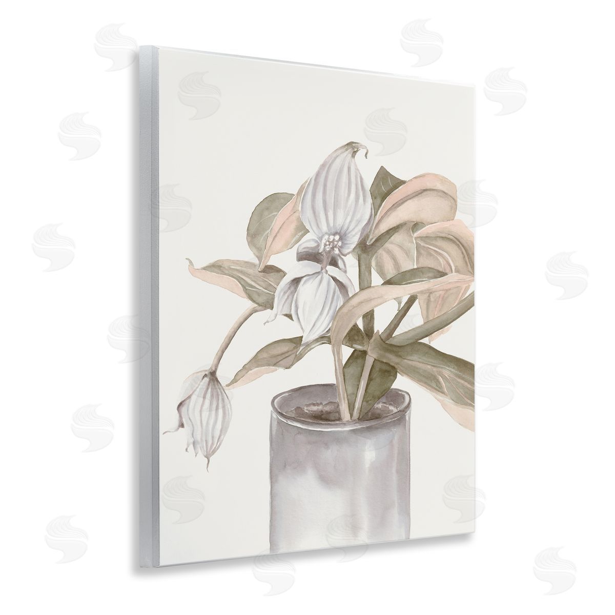 Errico & Slyp Potted Medinilla Magnifica Canvas Wall Art Print