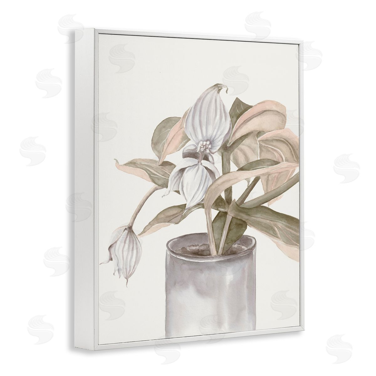 Errico & Slyp Potted Medinilla Magnifica Canvas Wall Art Print