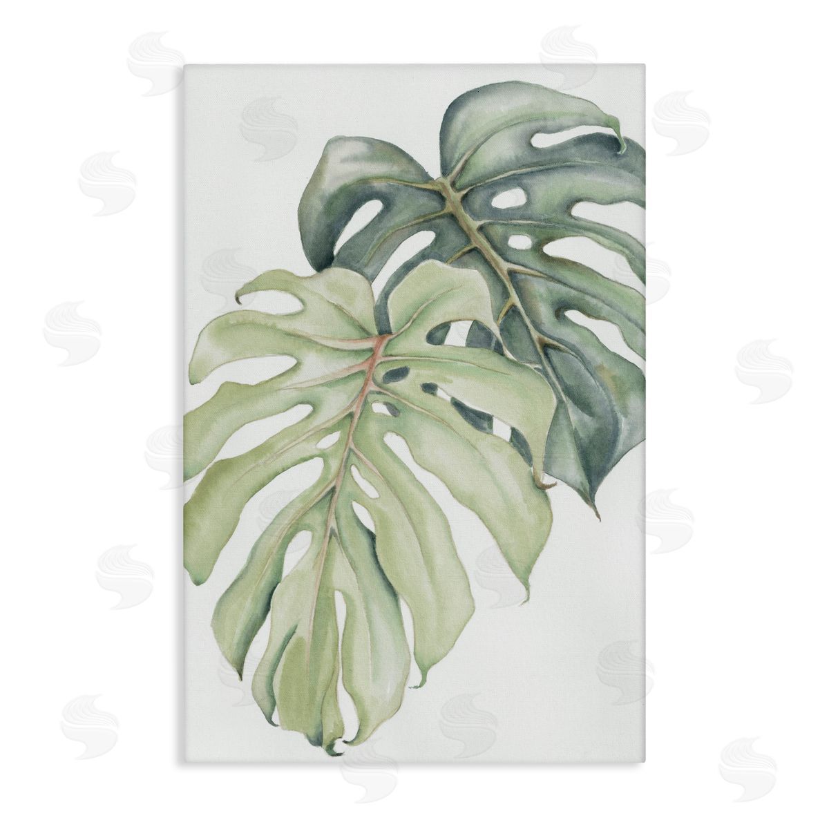 Errico & Slyp Philodendron Monstera Leaves Canvas Wall Art Print
