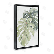 Errico & Slyp | Philodendron Monstera Leaves
