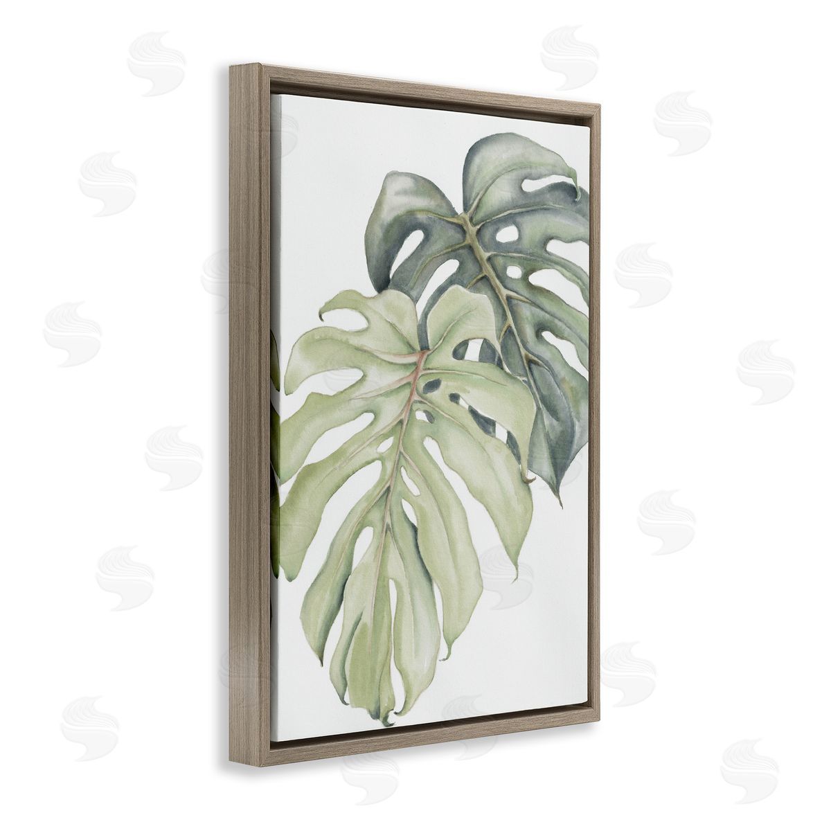 Errico & Slyp Philodendron Monstera Leaves Canvas Wall Art Print
