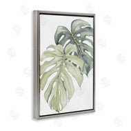Errico & Slyp | Philodendron Monstera Leaves